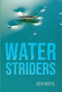 Cover image for Water Striders