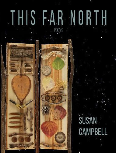 Cover image for This Far North
