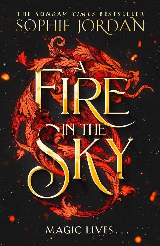 Cover image for A Fire in the Sky