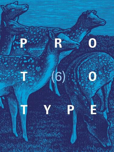 Cover image for PROTOTYPE 6