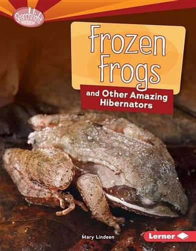 Cover image for Frozen Frogs and Other Amazing Hibernators