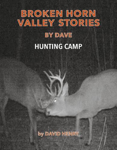 Cover image for Broken Horn Valley Stories by Dave