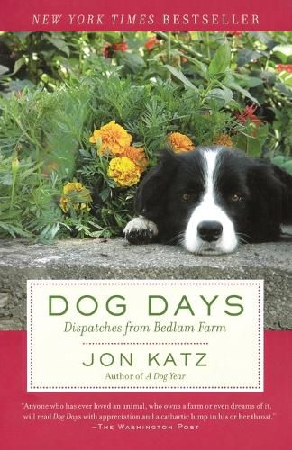 Cover image for Dog Days: Dispatches from Bedlam Farm