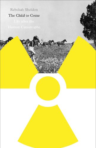 Cover image for The Child to Come: Life after the Human Catastrophe