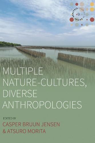 Cover image for Multiple Nature-Cultures, Diverse Anthropologies