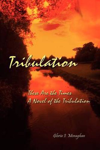 Cover image for Tribulation: These are the Times a Novel of the Tribulation