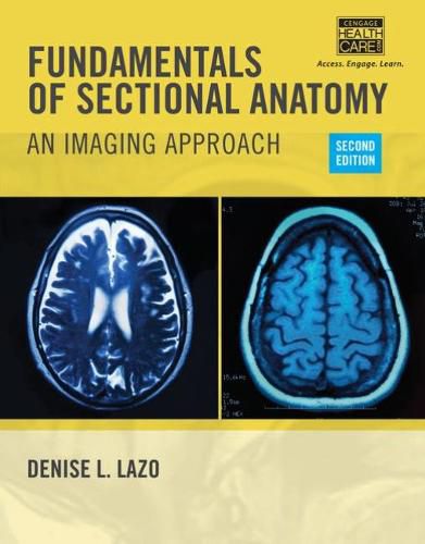 Cover image for Fundamentals of Sectional Anatomy: An Imaging Approach