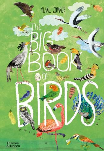 Cover image for The Big Book of Birds