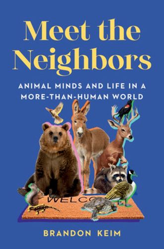 Cover image for Meet the Neighbors