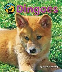 Cover image for Dingoes