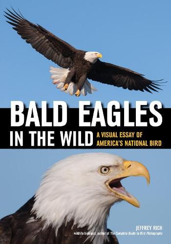 Cover image for Bald Eagles In The Wild: A Visual Essay of America's National Bird