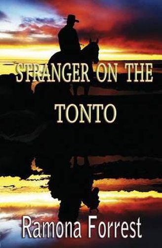 Cover image for Stranger on the Tonto