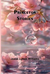 Cover image for Princeton Stories