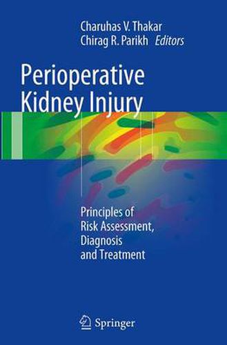 Cover image for Perioperative Kidney Injury: Principles of Risk Assessment, Diagnosis and Treatment