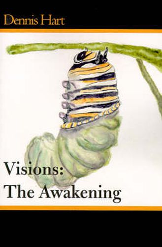 Cover image for Visions: The Awakening