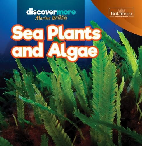 Cover image for Sea Plants and Algae