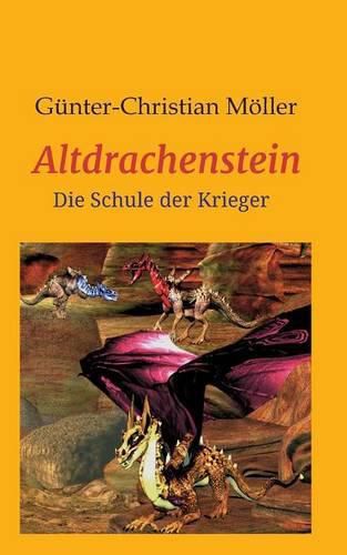 Cover image for Altdrachenstein