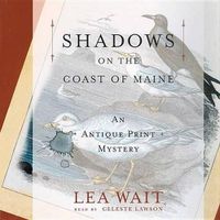 Cover image for Shadows on the Coast of Maine
