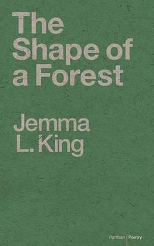 Cover image for The Shape of a Forest