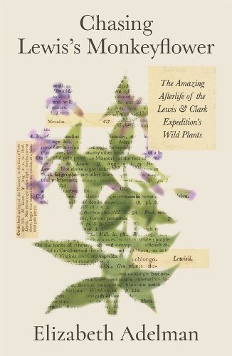 Cover image for Chasing Lewis's Monkeyflower