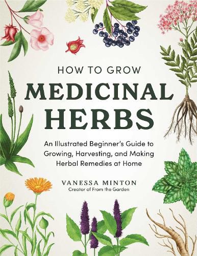 Cover image for How to Grow Medicinal Herbs