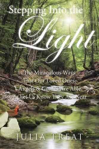 Cover image for Stepping Into the Light: The Miraculous Ways That Our Loved Ones, Angels & Guides Are Able To Let Us Know They Are Near