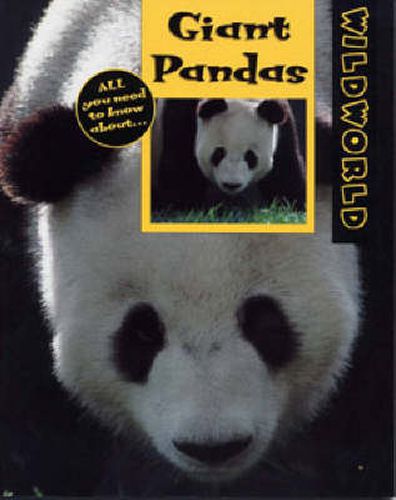 Cover image for Giant Pandas