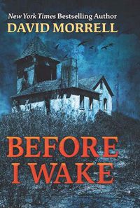 Cover image for Before I Wake