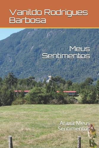 Cover image for Meus Sentimentos: Araxa Meus Sentimentos