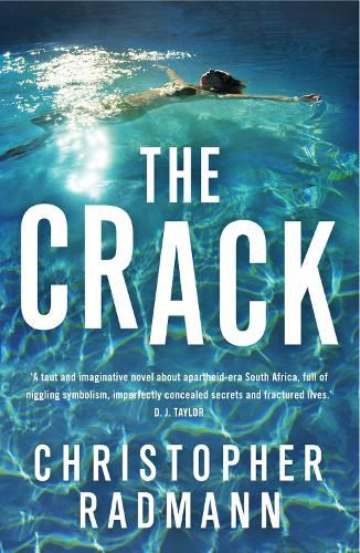 Cover image for The Crack