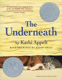 Cover image for The Underneath