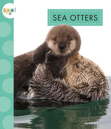 Cover image for Sea Otters