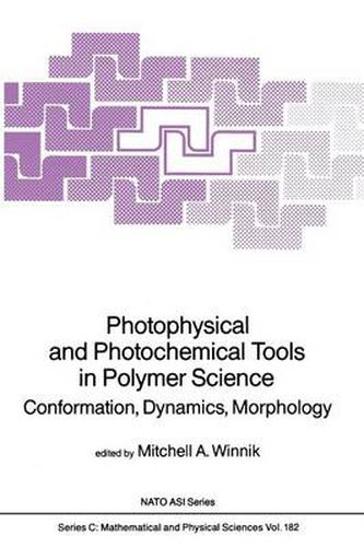 Cover image for Photophysical and Photochemical Tools in Polymer Science: Conformation, Dynamics, Morphology