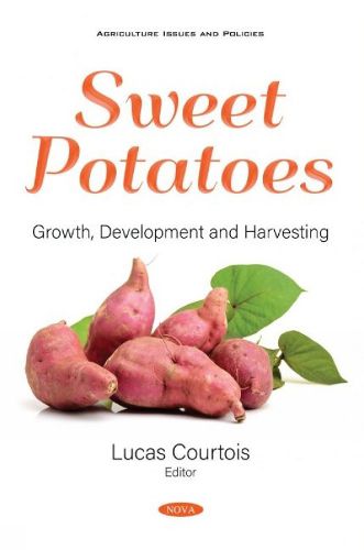 Sweet Potatoes: Growth, Development and Harvesting