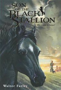 Cover image for Son of the Black Stallion