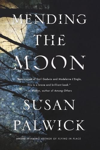 Cover image for Mending the Moon