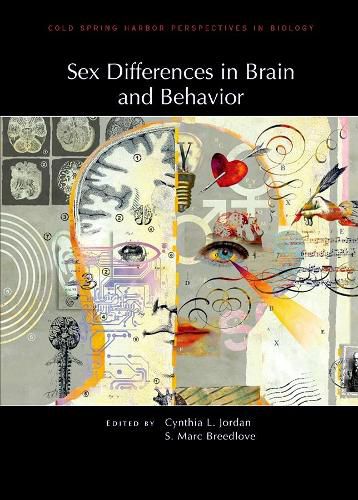 Sex Differences in Brain and Behavior