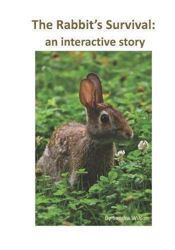 Cover image for The Rabbit's Survival: an interactive story