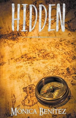 Cover image for Hidden