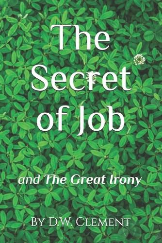 Cover image for The Secret of Job