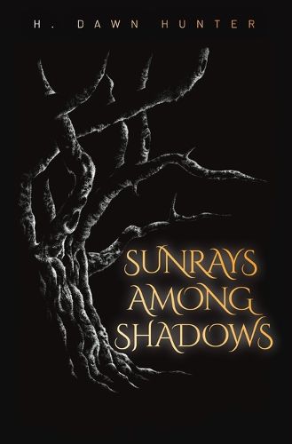 Cover image for Sunrays Among Shadows
