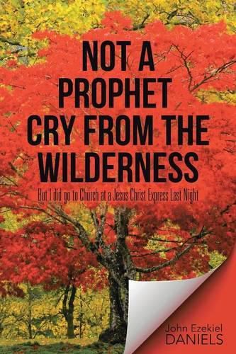 Cover image for Not a Prophet Cry from the Wilderness: But I did go to Church at a Jesus Christ Express Last Night