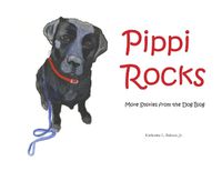 Cover image for Pippi Rocks