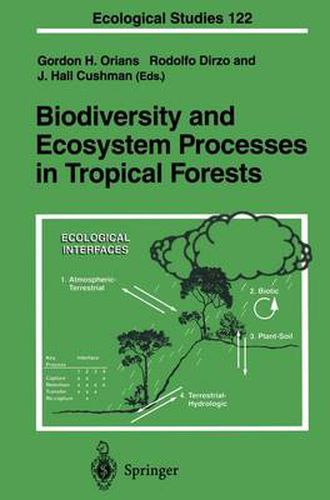 Cover image for Biodiversity and Ecosystem Processes in Tropical Forests