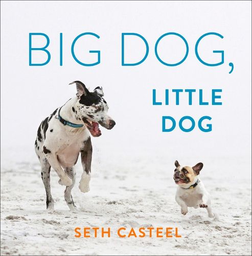 Cover image for Big Dog, Little Dog