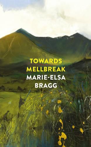 Cover image for Towards Mellbreak