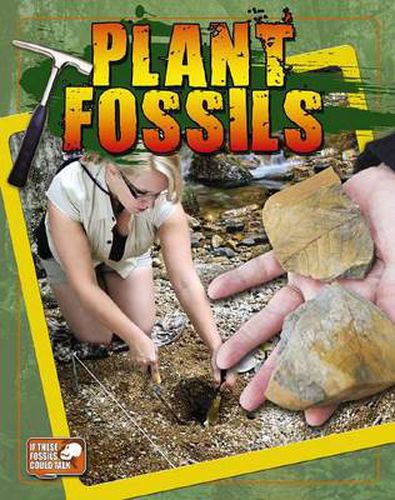 Plant Fossils