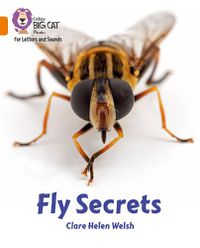 Cover image for Fly Secrets: Band 06/Orange