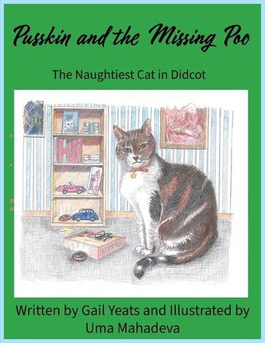 Cover image for Pusskin and the Missing Poo