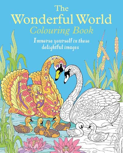 Cover image for The Wonderful World Colouring Book